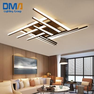 Modern Black Strip LED Acrylic Ceiling Lamp Hanging Light for Living Room