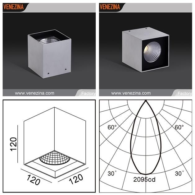 Simple-Original Style High Power 15W/20W COB Pendant LED Surface-Mounted Spotlight