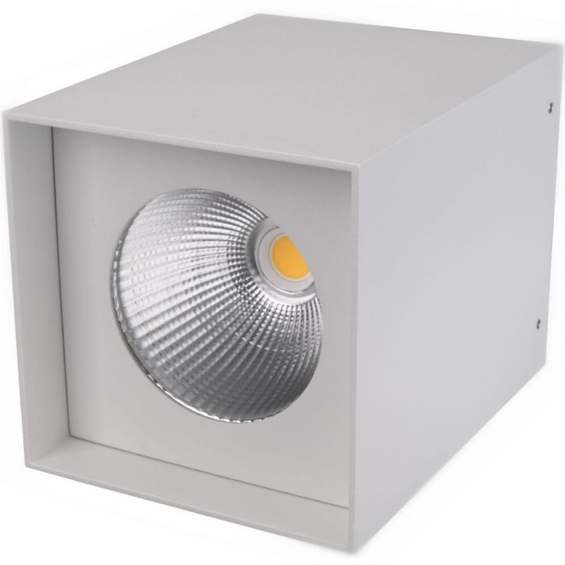 Modern Original Style 20W/25W High Power LED Surface-Mounted Downlight
