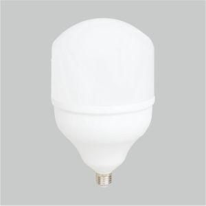 LED Bulb T