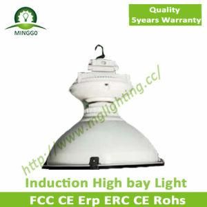 60~100W 5 Years Warranty High Bay Induction Lamp