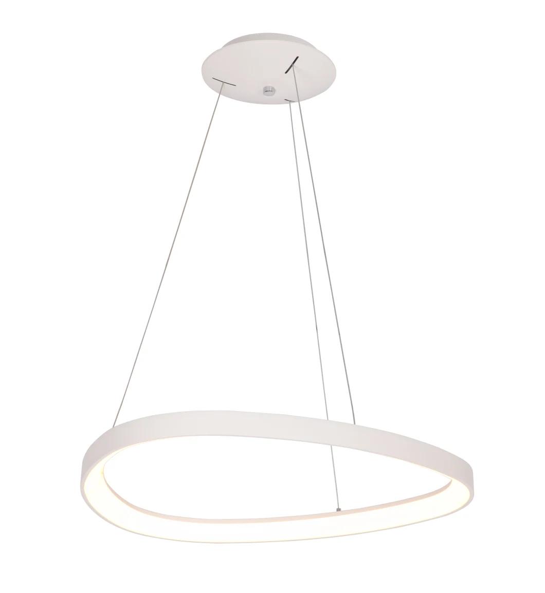 Masivel Factory Modern Ceiling Light for Bedroom Dimmable LED Ceiling Lamp