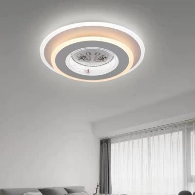 Modern Decoration Three-Dimensional Paintings Fashion Home Round Iron Acrylic LED Ceiling Light