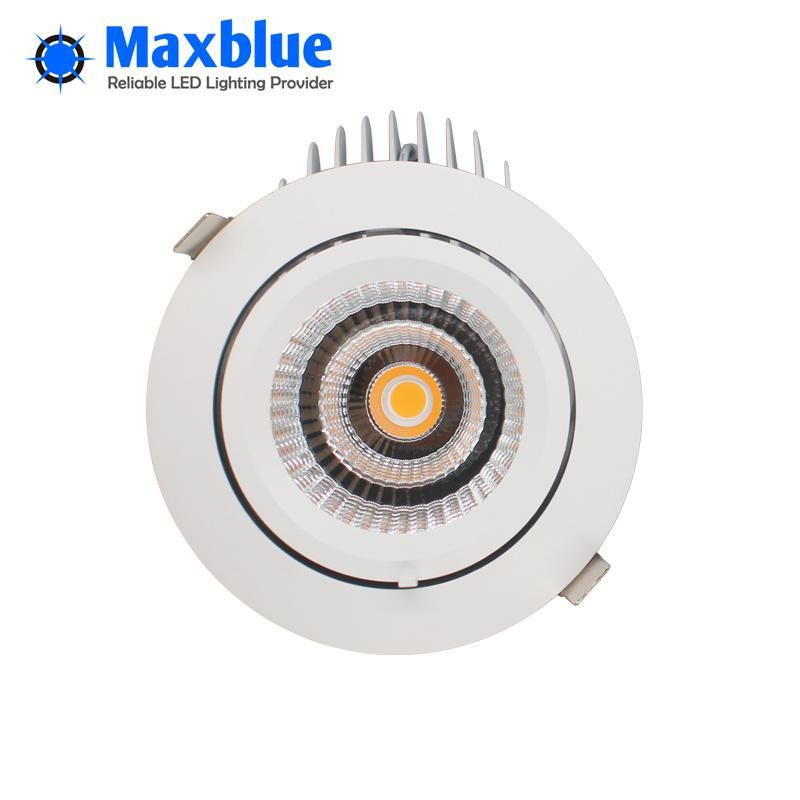 50W Rotatable CREE COB LED Gimbal Light Interior Ceiling Downlight