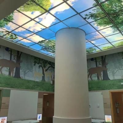 Sky Picture LED Ceiling Panel for Chemotherapy Room