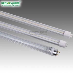 6W 0.6 Meter T8 LED Lamps