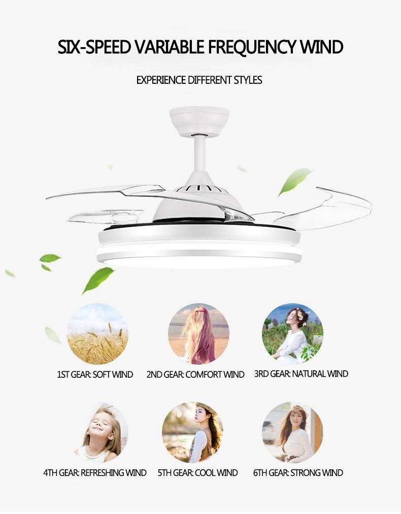 110-220V 42 Inch Home Smart Decorative Remote Control Ceiling Fan with Light