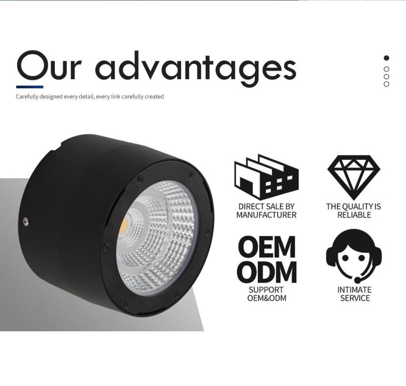 Office Shop Black Fitting Indoor Ceiling LED Dimmable Down Lights