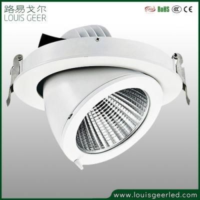 Factory Flush Mount 30W LED Bulb COB LED Ceiling Lights Spot LED Light