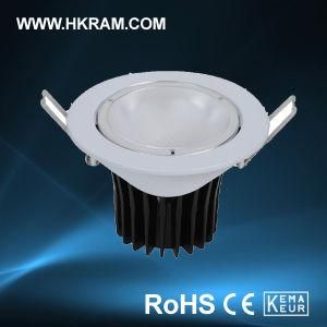 RAM Hot Selling LED 9W Spot Lamp with CE Certificate