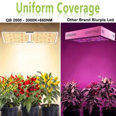 2021 Quantum Panel LED Grow Light Dimmable