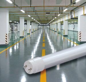 LED Tube Light, LED T8