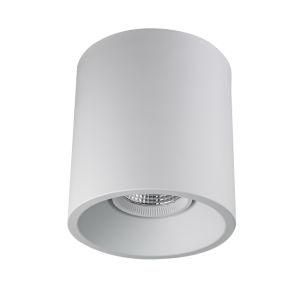 LED Surface Mounted Downlight Ceiling Light LED Cylinder Downlight LED Spot Ceiling Light C3-2000
