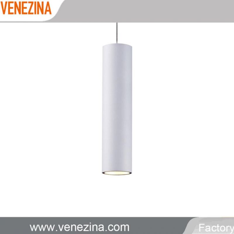 P6017 Pendant LED Downlight Decorative Spotlight LED Light Pendant Lights