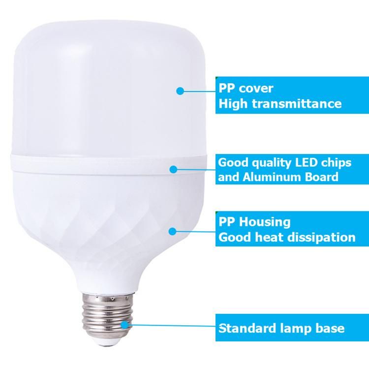 OEM 10000K Snow White Plastic T LED Lamp Lighting 30W 40W LED Bulb E27