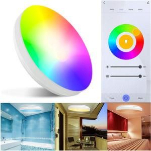 Alexa Ceiling Light Colorful RGB Remote Control APP Home Smart Music Flush Mount LED Lights