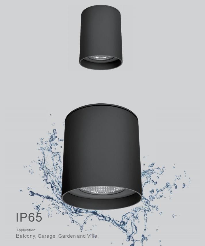 Waterproof LED Surface Mounted Downlight Ceiling Light Cylindrical Down Light