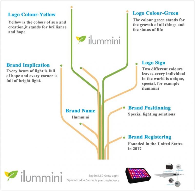 Horticulture Full Spectrum 300W Quantum Board LED Grow Light for Medical Plants