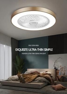 LED Ceiling Fan New Arrival 220V AC Motor Multifunction LED Lighting Fan Ceiling Light