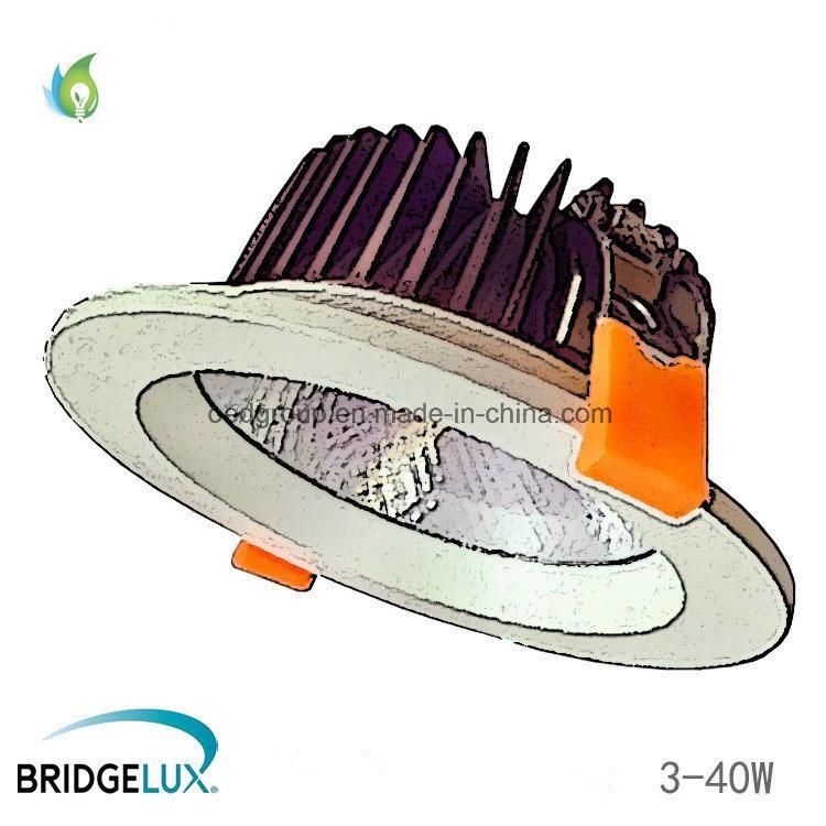 3W 5W to 40W LED Ceiling Spot Lights with Bridgelux Chip and 3 Years Warranty