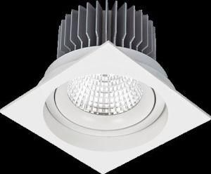Ceiling Recessed LED COB Aluminum Spot Light (SD8252)