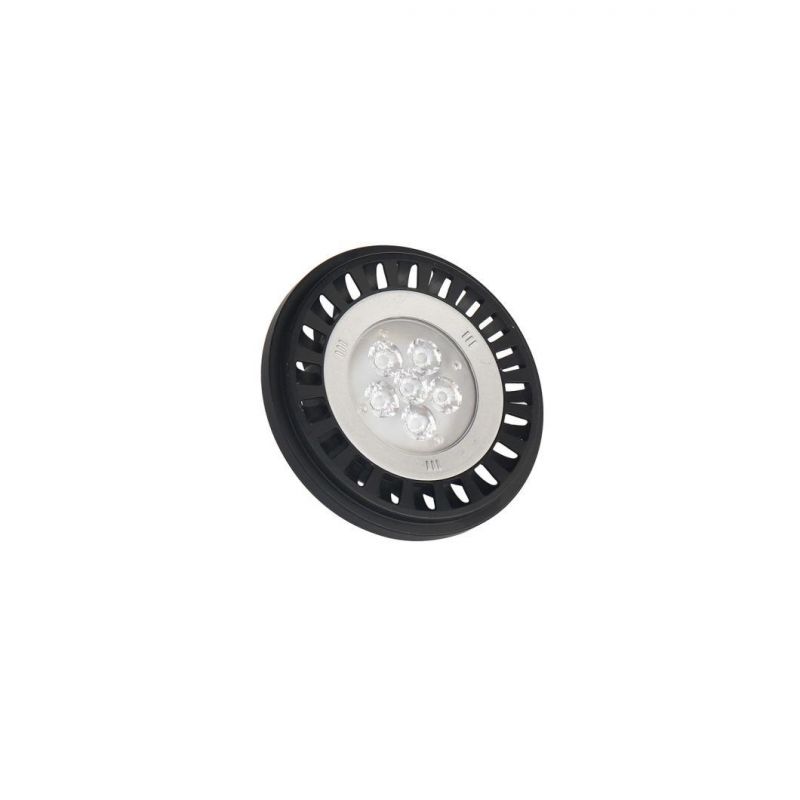 IP67 Waterproof PAR36/AR111 LED Light with ETL/cETL