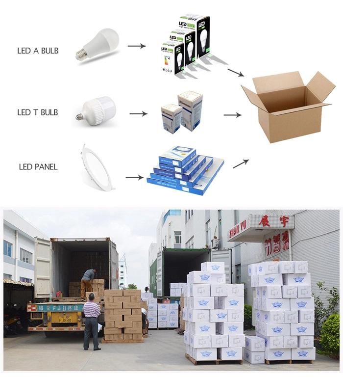 LED AC DC Rechargeable Intelligent Li-Battery LED Bulbs