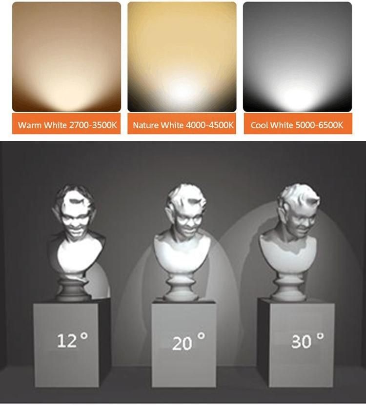Three Phase Track Mini 6W Triac Dimmable LED Track Spotlight
