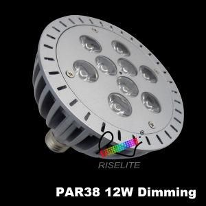 PAR38 LED Bulb