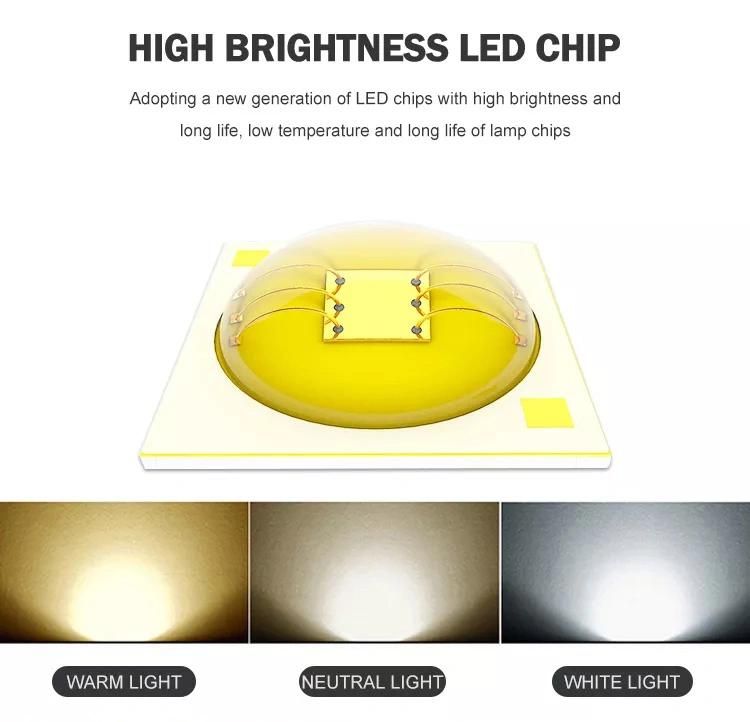 Anti Glare Ajustable Angle High Color Rendering Index Beam Angle Optional Strong Heat Disspation Aluminum Lamp Body Waterproof Reccesss Mount LED Spot Light