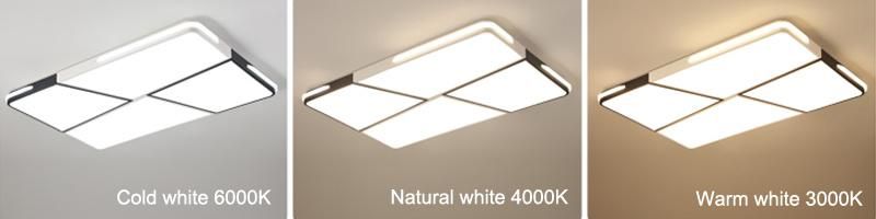 Modern Contemporary LED Living Room Acrylic Ceiling Light Home Ceiling Lighting Fixture
