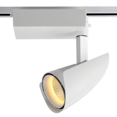 High Quality 30W Track Light with Driver Box for Commercial Lighting Cafe IP20