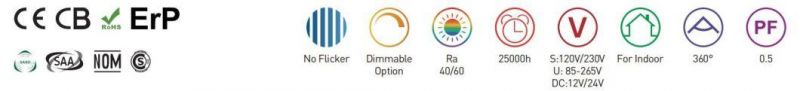 China Supplier C / a Series Decorative LED Filament Bulb Light