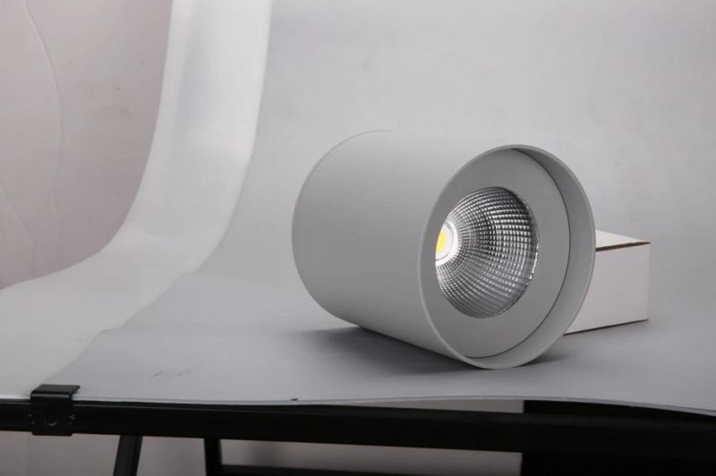 Waterproof LED Surface Mounted Downlight Ceiling Light Cylindrical Down Light in 5 Years Warranty