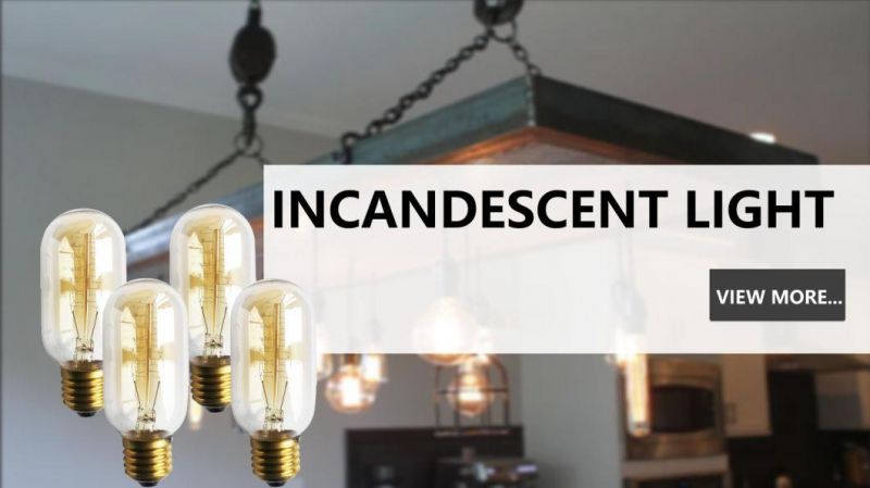 Soft LED Filament Bulb Diamond Shape E26 E27 Golden