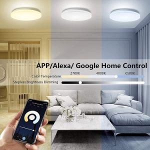 Smart LED Flush Mount Lamp WiFi Blue Tooth Zigbee LED Ceiling Light 30W Workable with Alexa Google Home