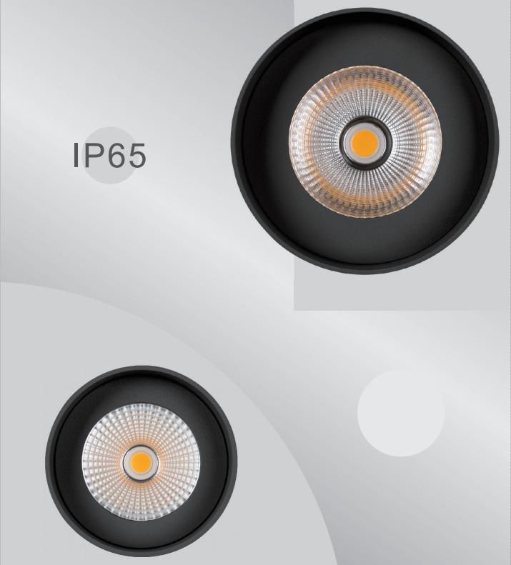 Waterproof LED Surface Mounted Downlight Ceiling Light Cylindrical Down Light