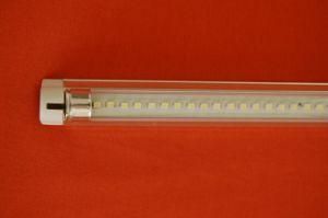 Dip Light Tube