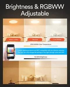 Smart Flush Mount Ceiling Light - 30W RGB LED Light Fixture Compatible with Alexa &amp; Google Home &amp; WiFi APP Control for Bedroom Bathroom Living Room