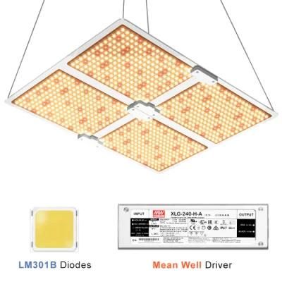 200 Watt Quantum Panel LED Grow Light Controller