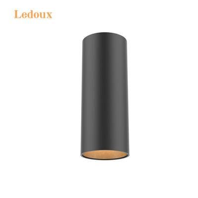 Surface Mounted LED Ceiling Lamp Round Suspended 20W LED Ceiling Light