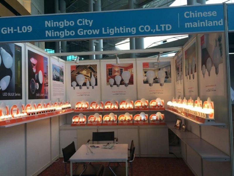 China Factory E14 LED Light 3.8W Indoor Decoration LED Bulb SMD2835 Energy Saving Light