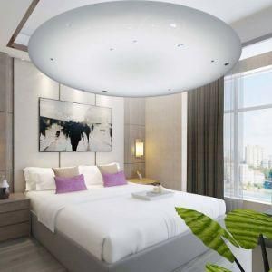 [Dalen] 38W Modern LED Ceiling Light, Living Room Ceiling Wall Lamp, Smart Remote Control, Optional WiFi Function