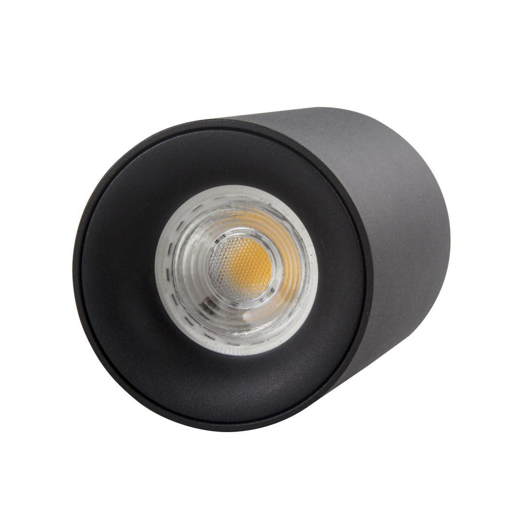 Aluminum Alloy LED Lighitng COB LED Ceiling Light Downlight Housing