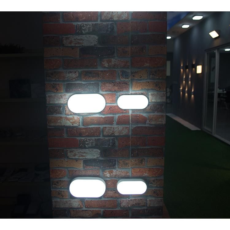 IP65 Oval LED Bulkhead Light Fitting, Frameless Bulkhead Lamp 8W 15W Outdoor Wall LED Light