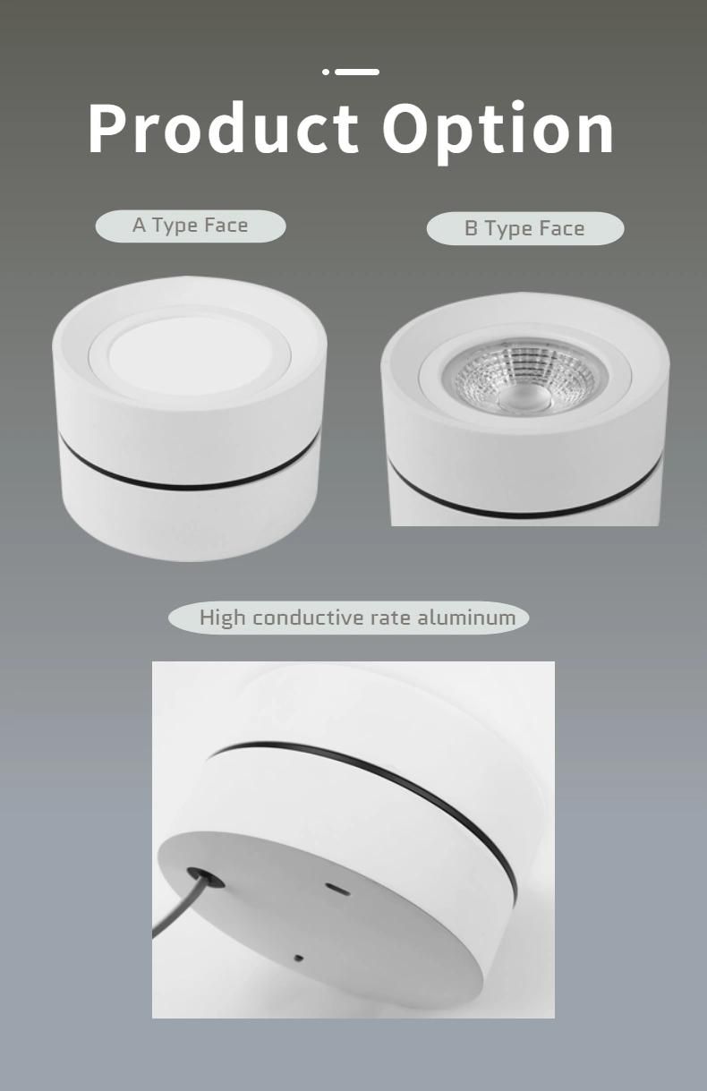 COB IP54 3000K 18W LED Surface Mounted LED Ceiling Light