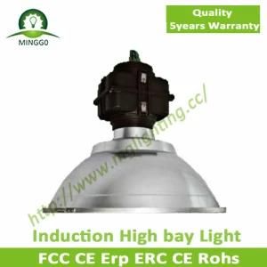 High Quality 50W~300W Industrial Induction High Bay Light
