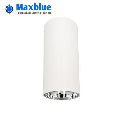 Aluminum LED Down Light 20W COB LED Ceiling Light