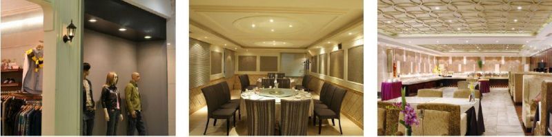 CRI90+ COB Triac/0-10V/Dali Dimmable LED Downlight