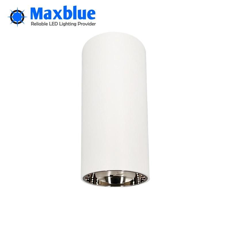 2022 New Style Aluminum Indoor LED Down Light